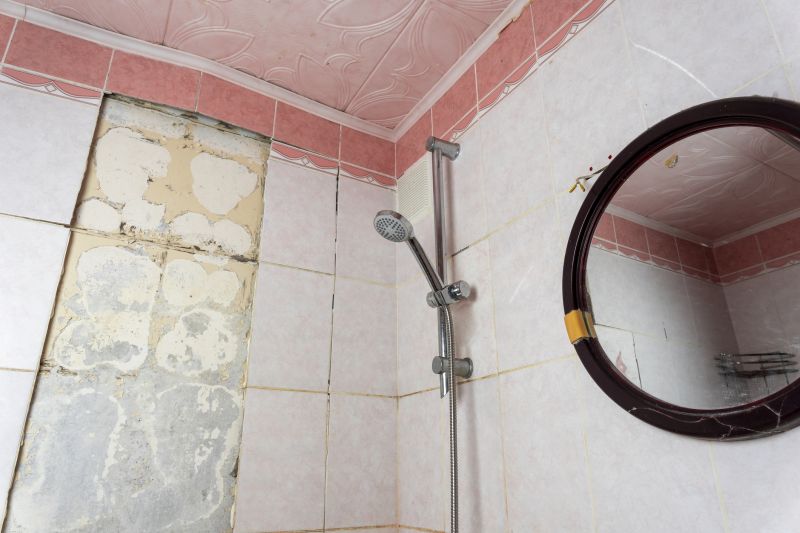 Shower Remodeling in Ringoes, NJ